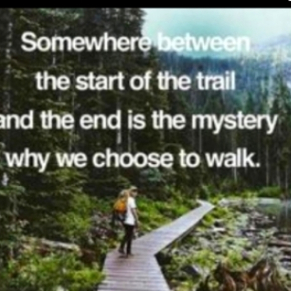 🐦 BLUEBIRD FRAMED ART LOOKS LIKE Stained Glass 🐦 Nature lovers GREAT GIFT 🎁 - Picture 15 of 16